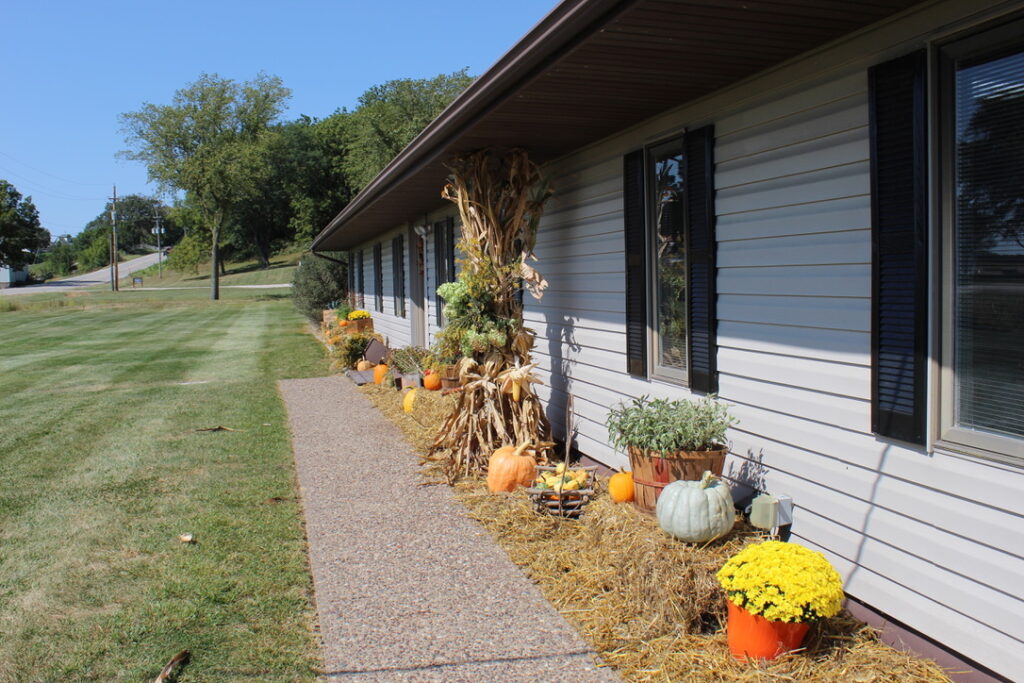 Team WTI Fall decorations