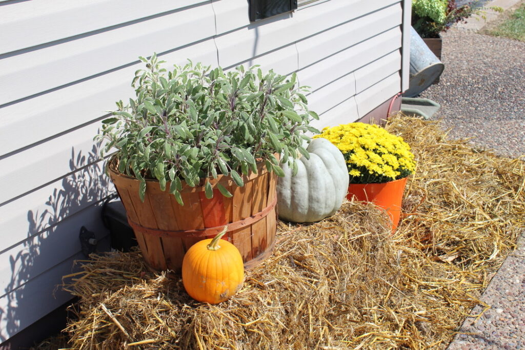 Team WTI Fall decorations